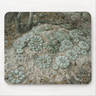 Lophophora williamsii - Peyote Mouse Mat