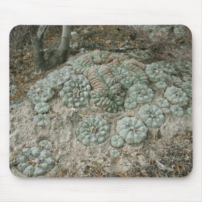 Lophophora williamsii - Peyote Mouse Mat (Front)