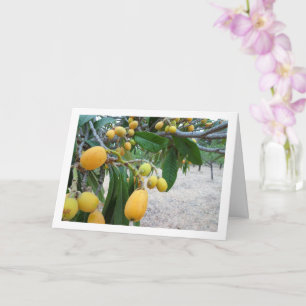 Loquat tree Portrait Card