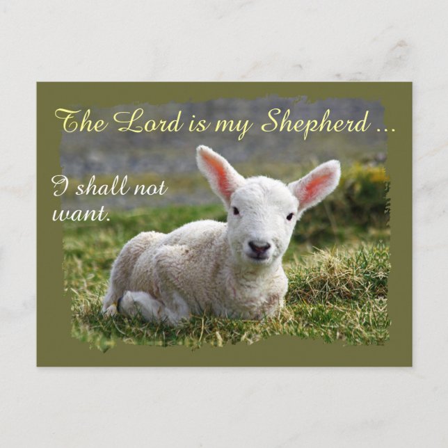 Lord is my Shepherd Psalm 23 Complete Version Postcard (Front)