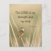 Lord is my Strength & Song Scripture Song Bird 