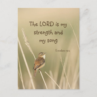 Lord is my Strength & Song Scripture Song Bird  Postcard