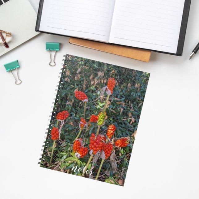 Lords and Ladies Italian Arum Floral Notebook (In Situ)