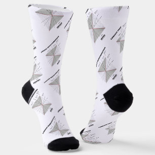Lorentz Transformation Inside Physics Socks