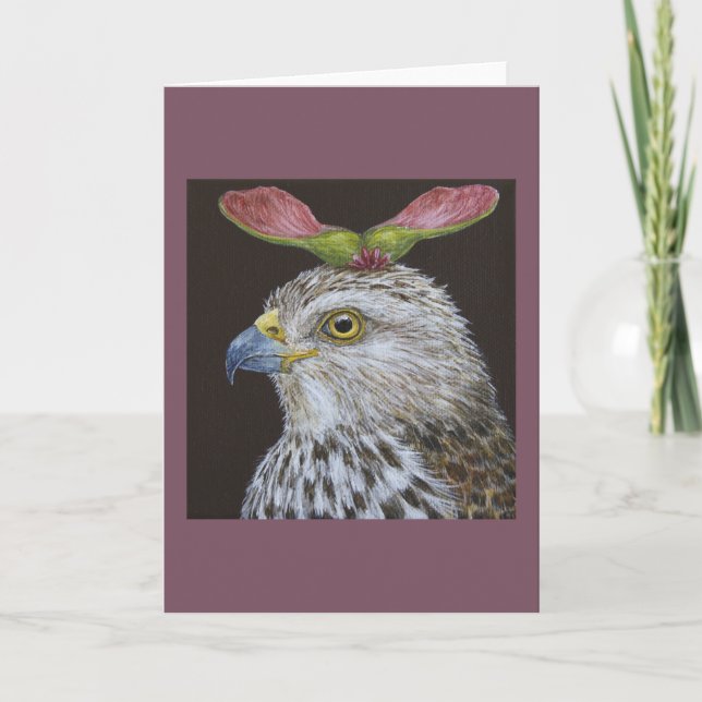 Loretta the Cooper's hawk greeting card (Front)