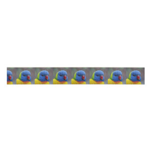 Lori_2015_0203 Grosgrain Ribbon