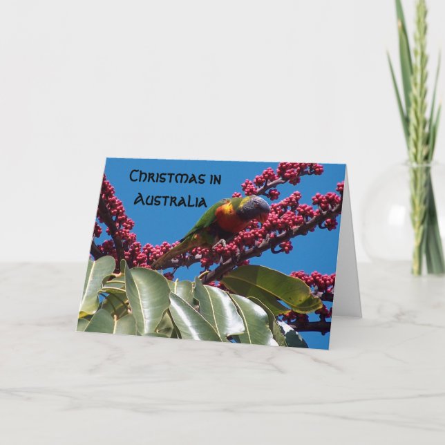 Lorikeet Feeding, Christmas in, Australia Holiday Card (Front)