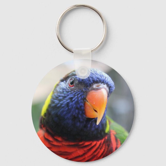 Lorikeet Keychain (Front)