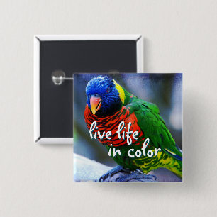 Lorikeet red blue green bird live life in colour 15 cm square badge