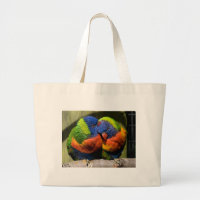 Lorikeets in Love