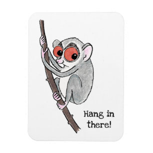 Loris 'hang in there' fridge magnet