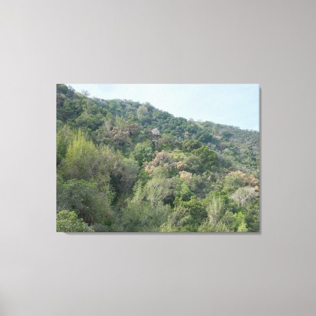 Los Altos Hills Canvas Print (Front)