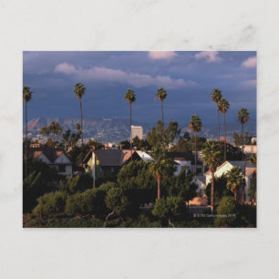 Los Angeles, California Postcard