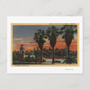 Los Angeles, CaliforniaSunset in Echo Park Postcard