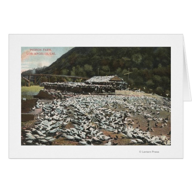 Los Angeles, CaliforniaView of a Pigeon Farm (Front Horizontal)