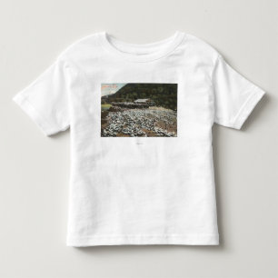 Los Angeles, CaliforniaView of a Pigeon Farm Toddler T-Shirt