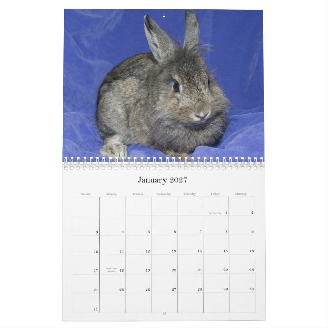 Los Angeles Rabbit Foundation - 2012 Calendar (Jan 2027)