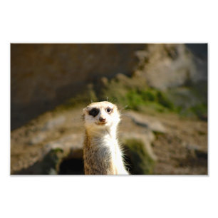 Los Angeles Zoo Photo Print