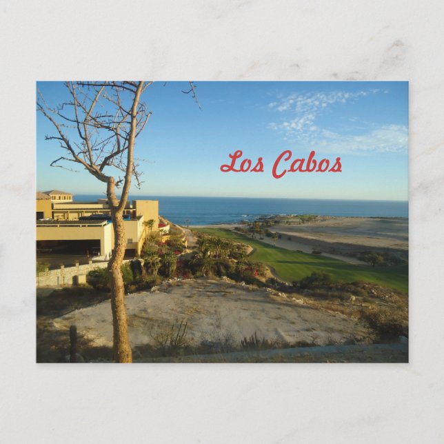 Los Cabos Mexico Postcard (Front)