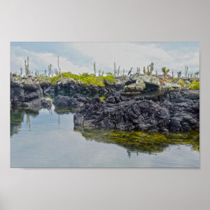Los Tuneles, Galapagos Islands, Ecuador Poster