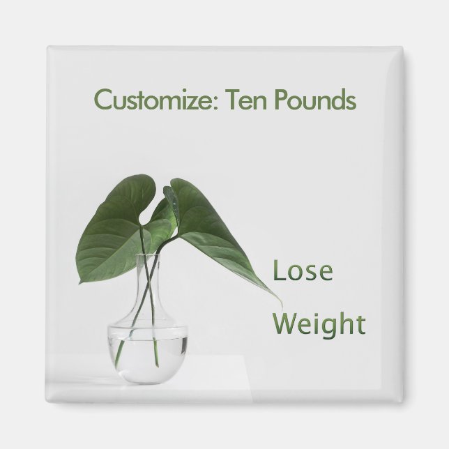 Lose Weight Diet Goals Magnet (Front)