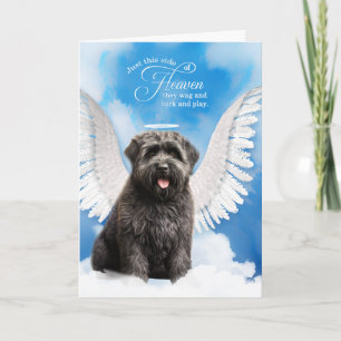 Loss of a Bouvier de Flandres Dog Pet Sympathy Card