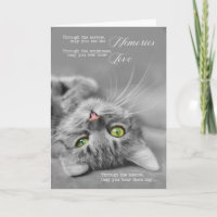 Loss of a Cat Pet Sympathy Silver Tabby Cat Tender