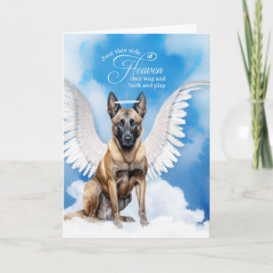 Loss of a Dog Belgian Malinois Angel Pet Sympathy Card