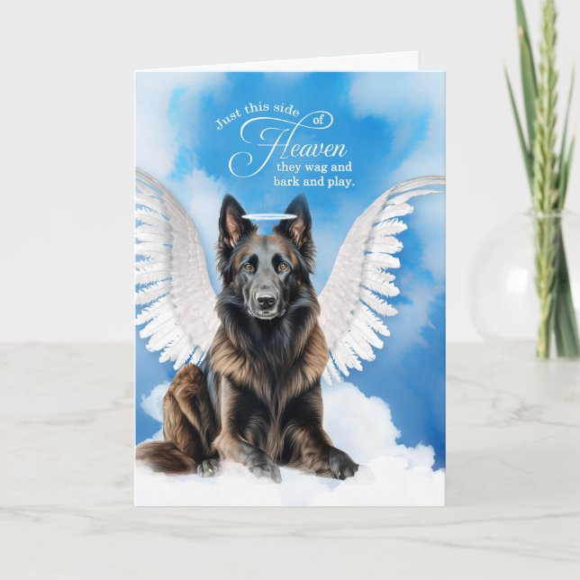 Loss of a Dog Belgian Tervuren Angel Pet Sympathy Card (Front)