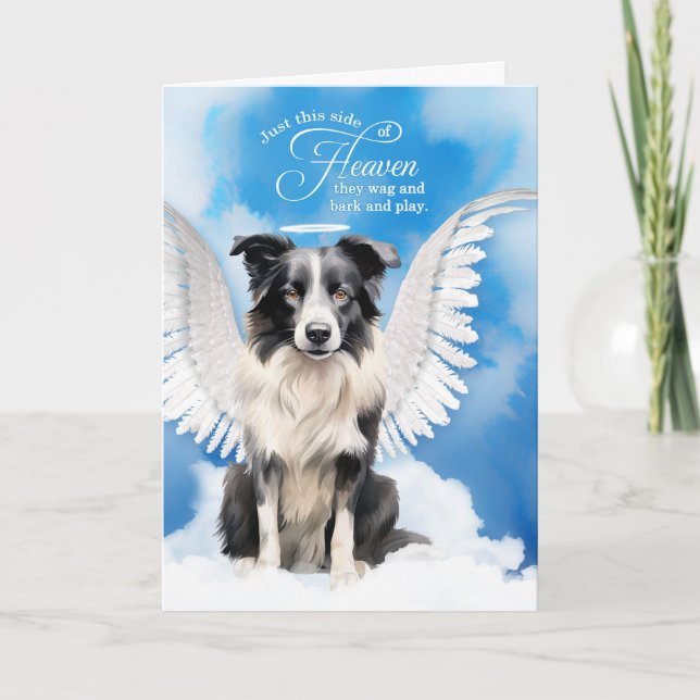 Loss of a Dog Border Collie Angel Pet Sympathy Card (Front)