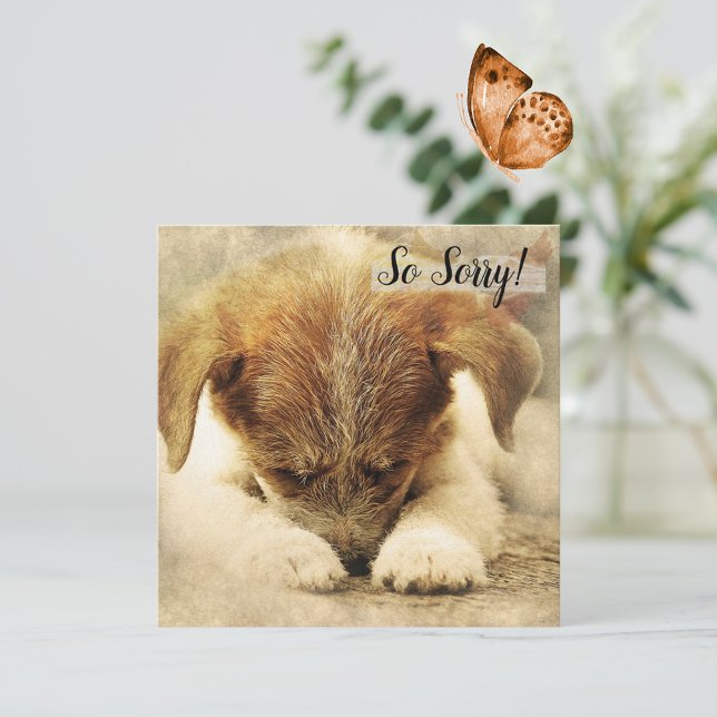 Loss of a Pet  Dog Card (Creator Uploaded)