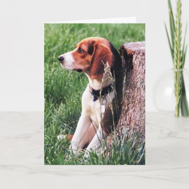 Loss of Beagle Sympathy Card (Front)