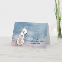Loss of Bedlington Terrier Dog Sympathy