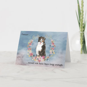 Loss of Bernese Mountain Dog Sympathy Card