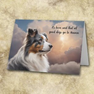 Loss of Blue Merle Australian Shepherd Sympathy Holiday Card