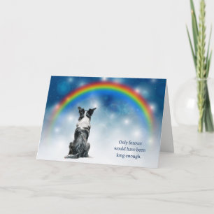 Loss of Border Collie Dog Night Lights Sympathy Holiday Card