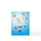 Loss of brother, sympathy card, flying birds