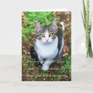 Loss of Cat Card