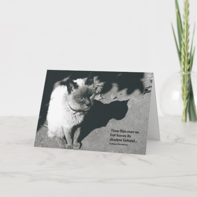 Loss of Cat Sympathy Card (Front)