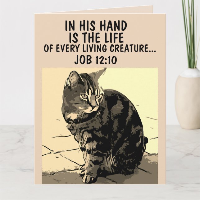 LOSS OF CAT SYMPATHY CONDOLENCES GREETING CARDS (Front)