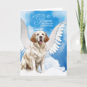 Loss of Dog Clumber Spaniel Pet Sympathy Card