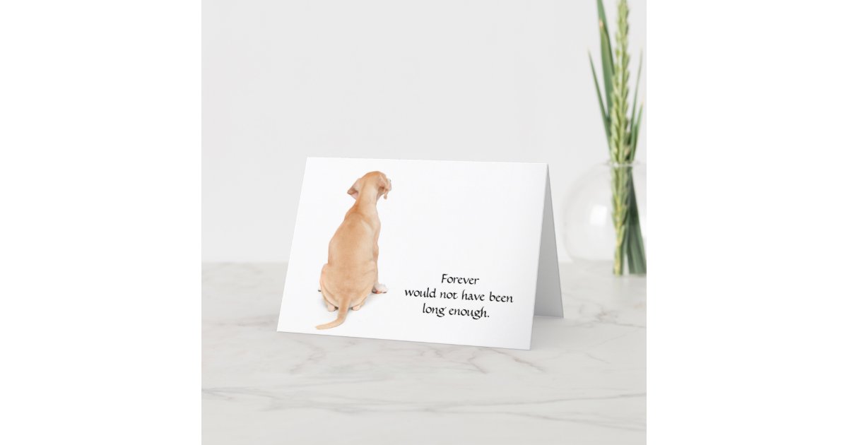 Loss of Dog Condolence Sympathy Card | Zazzle.co.uk