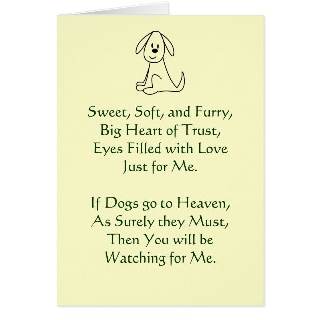 Loss of Dog Sympathy (Front)