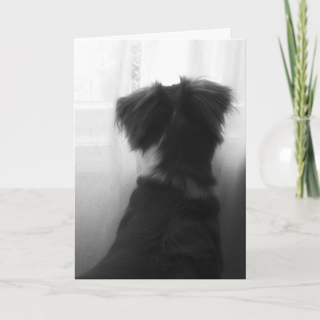 Loss of Dog Sympathy Card (Front)