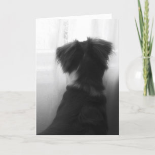 Loss of Dog Sympathy Card