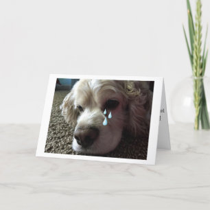 LOSS OF "FAMILY PET" SYMPATHY CARD