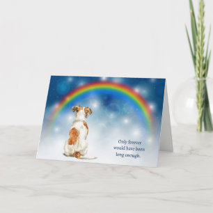 Loss of Jack Russell Terrier Night Lights Sympathy Holiday Card