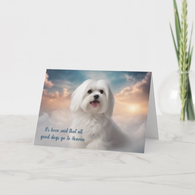 Loss of Maltese Dog Heaven Sympathy Holiday Card (Front)