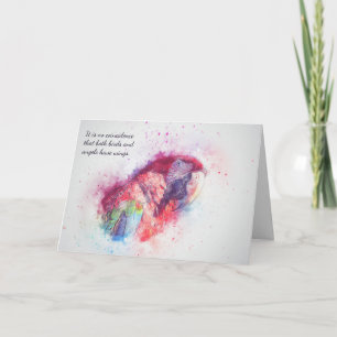 Loss of Pet Bird  Macaw Custom Sympathy Card