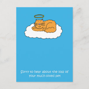 Loss of Pet Cat Sympathy Postcard